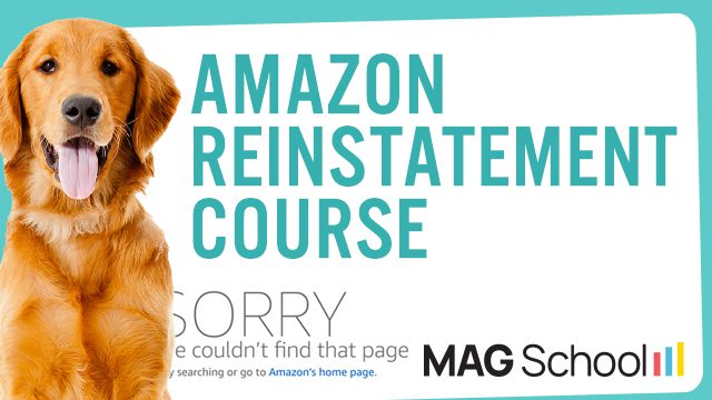 Amazon Reinstatement Course - course thumbnail